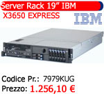 ibm server rack 19" pollici ibm x3650 express 7979kug